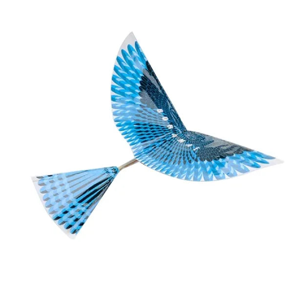 Eco Flyer